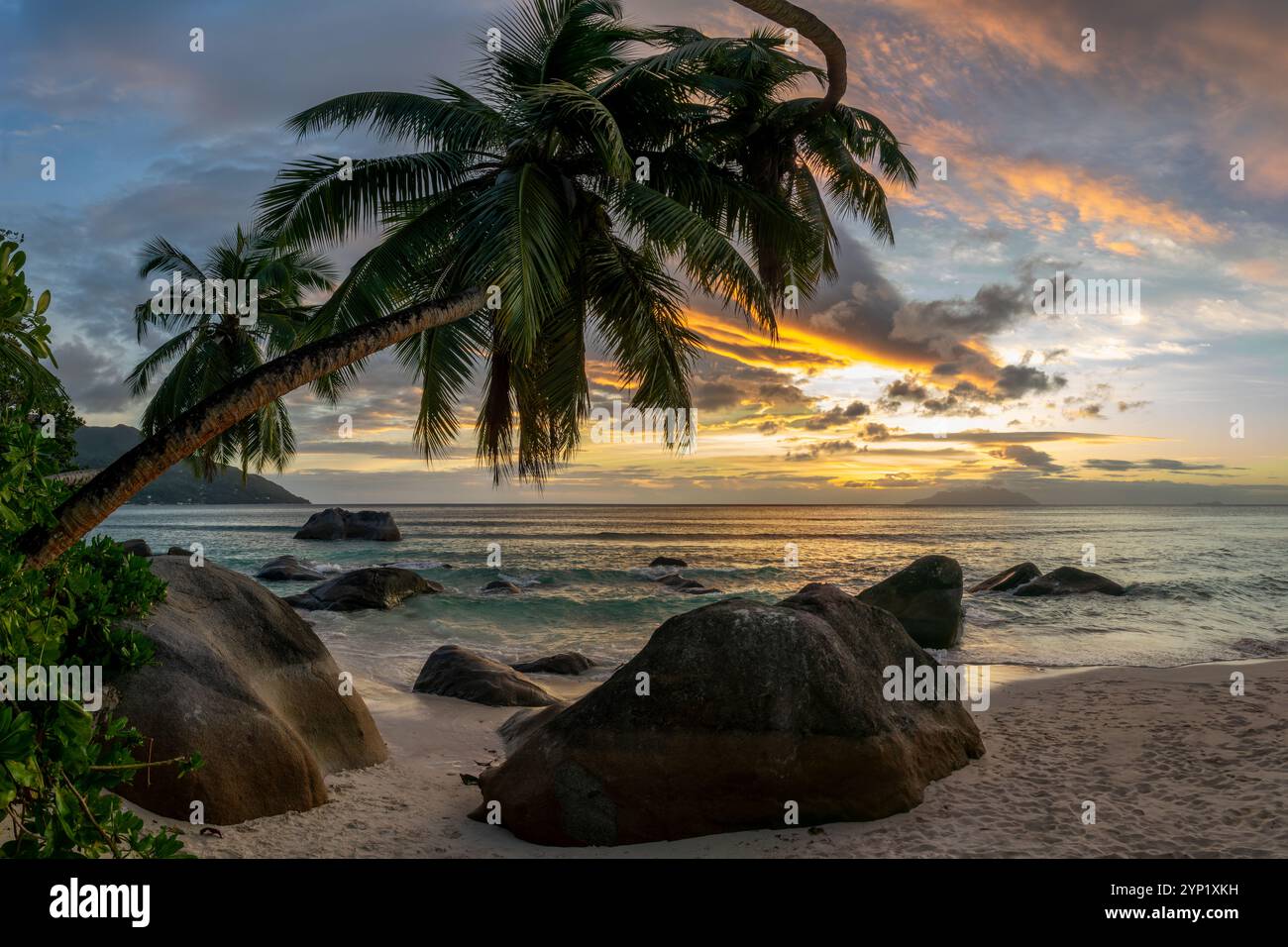 Perfetto paesaggio al tramonto su una scenografica spiaggia di sabbia tropicale con palme e massi nell'isola di Mahé, Seychelles Foto Stock