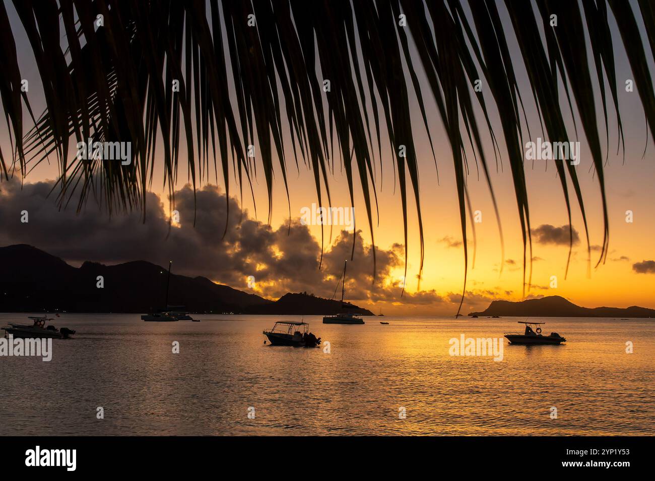 Palme e barche a vela al tramonto nell'isola di Praslin, Seychelles Foto Stock