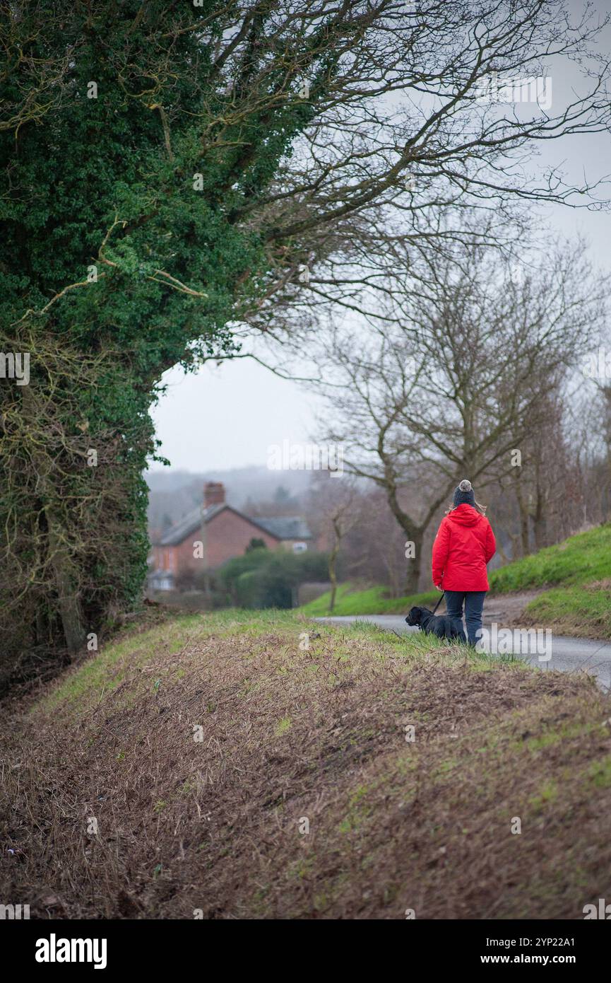 donna solitaria con il cane da passeggio ellingham, norfolk, inghilterra Foto Stock