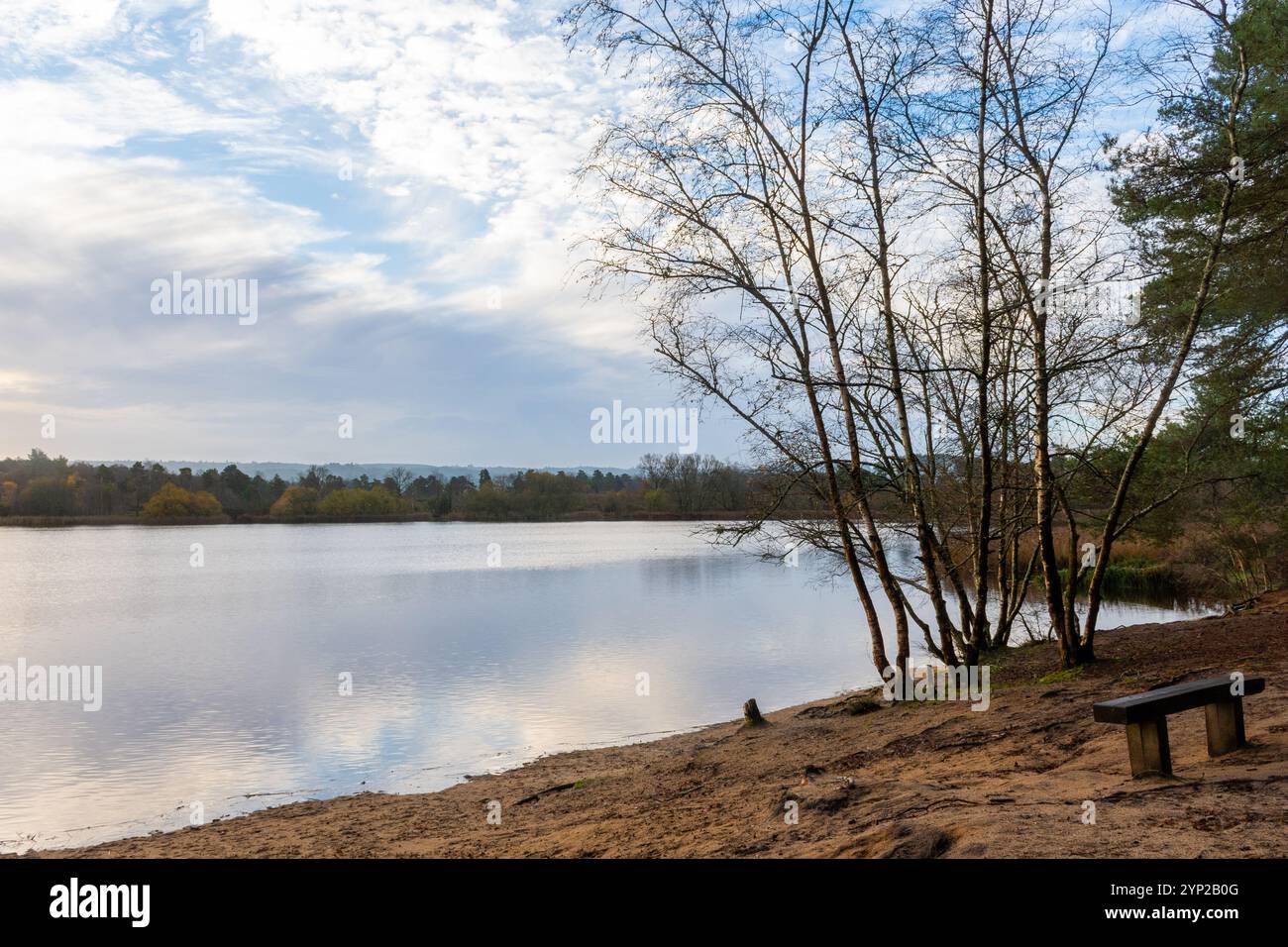 Frensham Little Pond, vista invernale al mattino presto a novembre, Surrey, Inghilterra, Regno Unito Foto Stock
