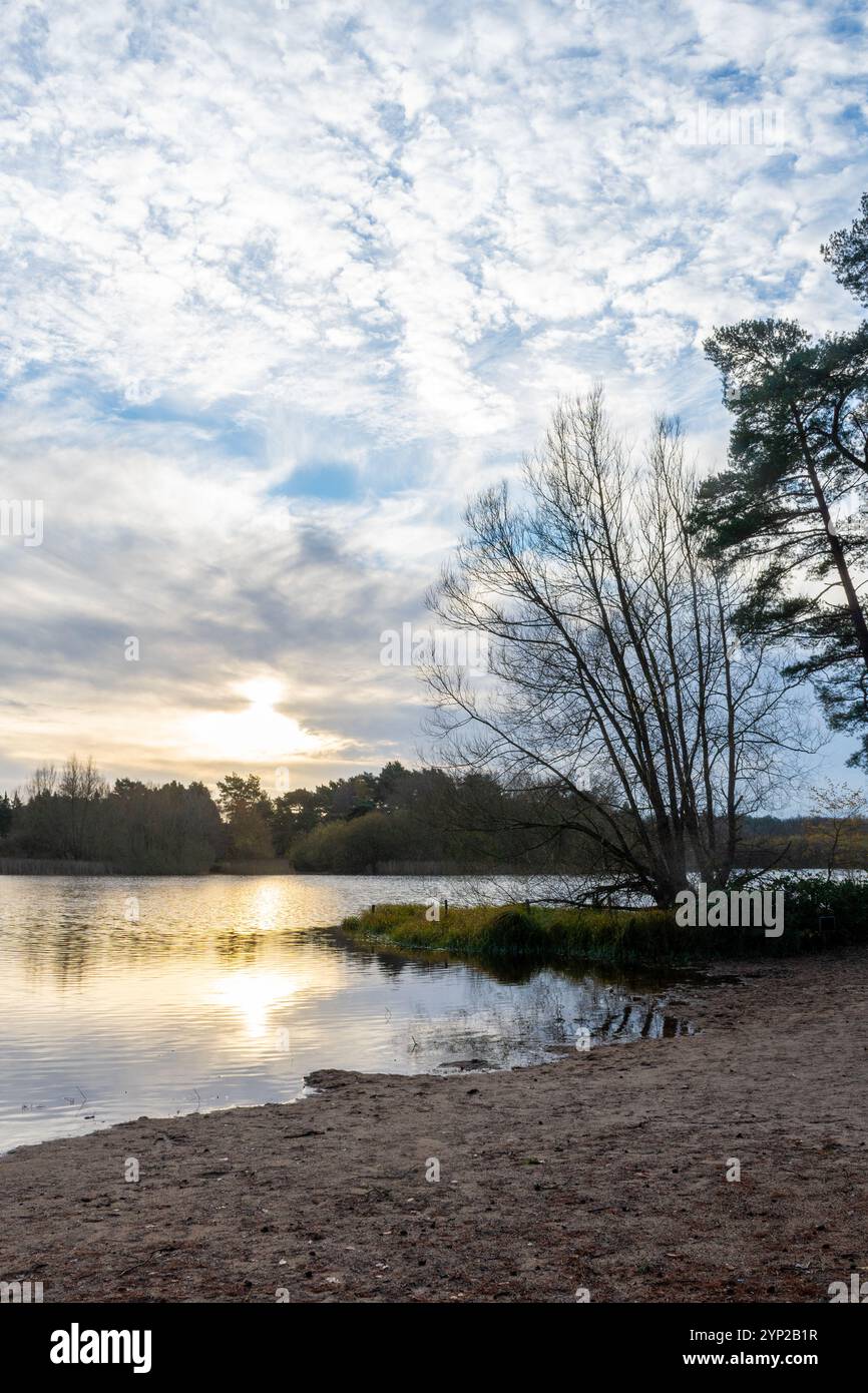 Frensham Little Pond, vista invernale al mattino presto a novembre, Surrey, Inghilterra, Regno Unito Foto Stock