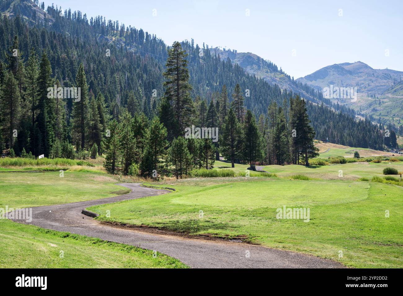 Vista su un campo da golf, situato in cima alle montagne della Sierra Nevada, vicino al lago Tahoe. È estate e i pini fiancheggiano i fairway Foto Stock