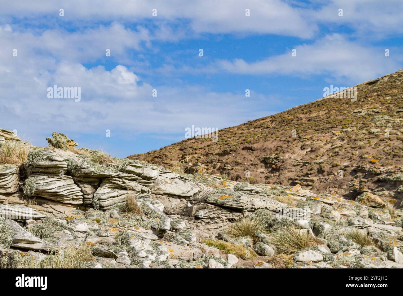 Vedute delle rocce ricoperte di licheni su New Island nelle Isole Falkland, nell'Oceano Atlantico meridionale, in Sud America Foto Stock