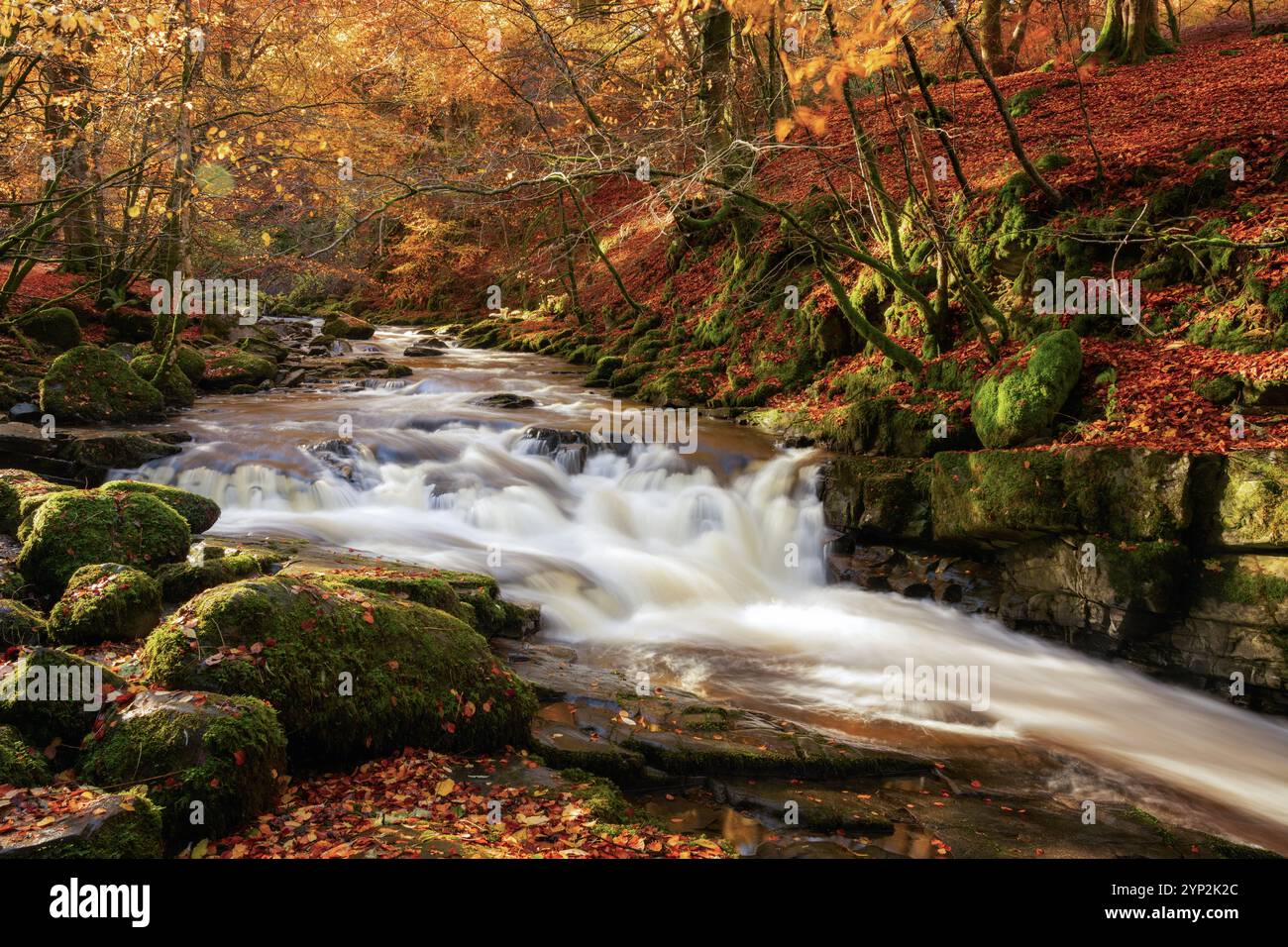 Waterfall at the Birks of Aberfeldy, Perthshire, Scozia, Regno Unito, Europa Foto Stock