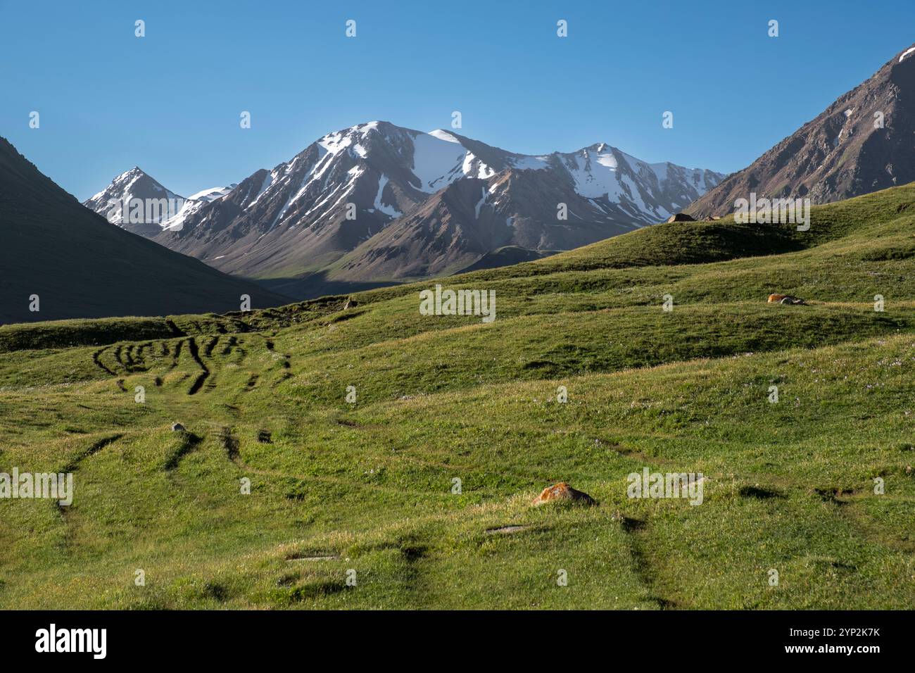 Ampio paesaggio verde al lago Kol Ukok con maestose montagne sullo sfondo sotto un cielo azzurro, Kirghizistan, Asia centrale, Asia Foto Stock