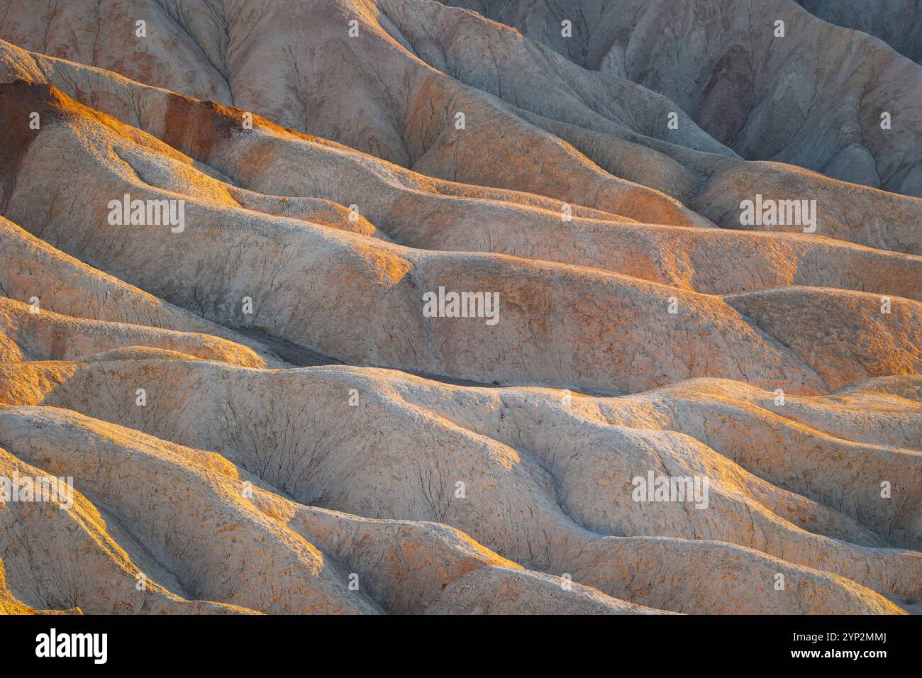 Dettagli della formazione rocciosa a Zabriskie Point, Death Valley, California, Stati Uniti d'America, Nord America Foto Stock