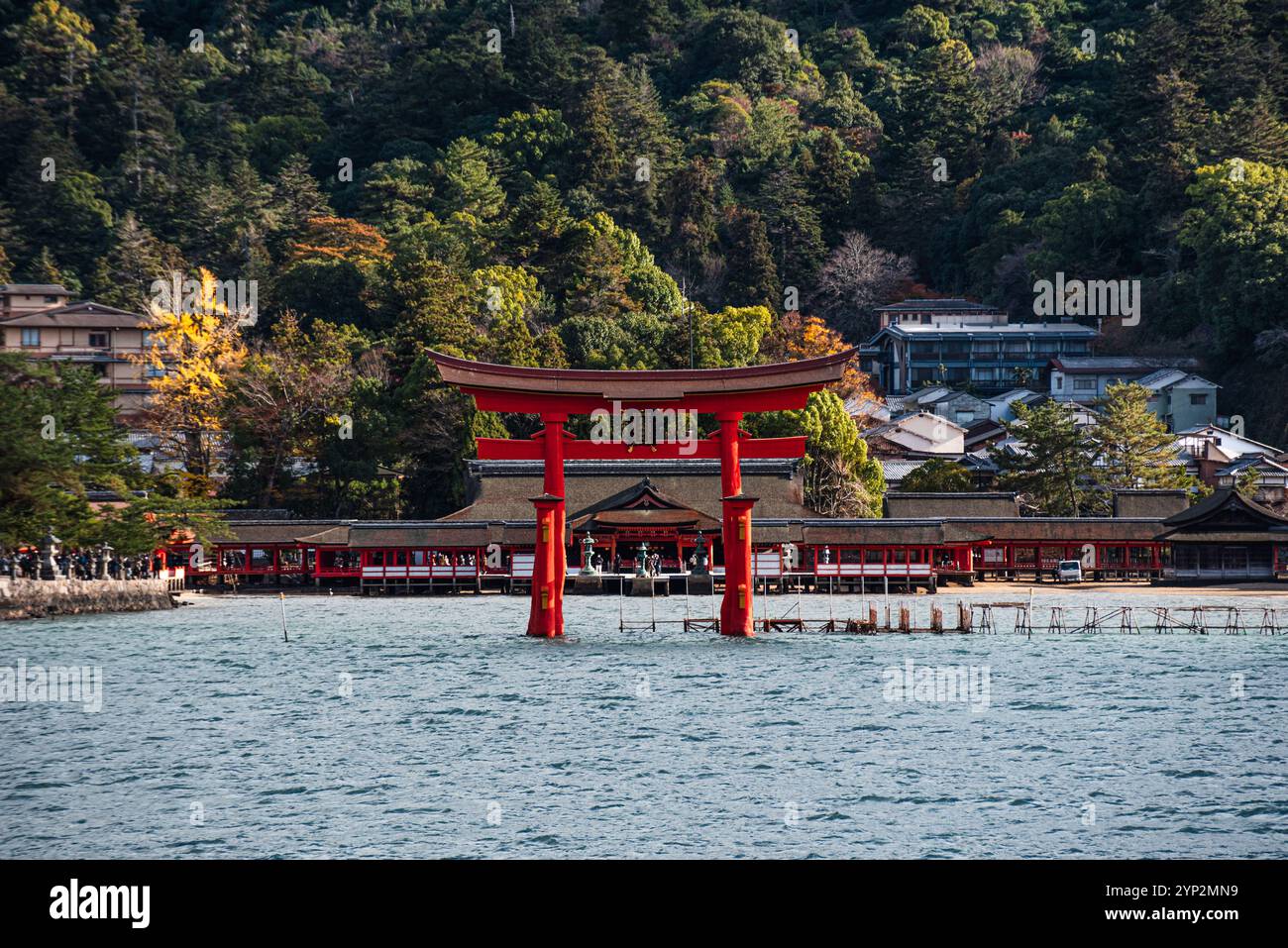 La famosa porta di Otori, Torii sul mare di fronte alla foresta e al tempio, Miyajima, sito patrimonio dell'umanità dell'UNESCO, prefettura di Hiroshima, Honshu, Giappone, Asia Foto Stock