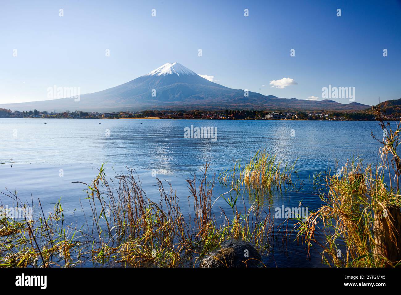 Monte Fujiyama (Monte Fuji), sito patrimonio dell'umanità dell'UNESCO, vulcano ricoperto di ghiaccio con un lago blu cristallino in fiore in autunno, Honshu, Giappone, Asia Foto Stock