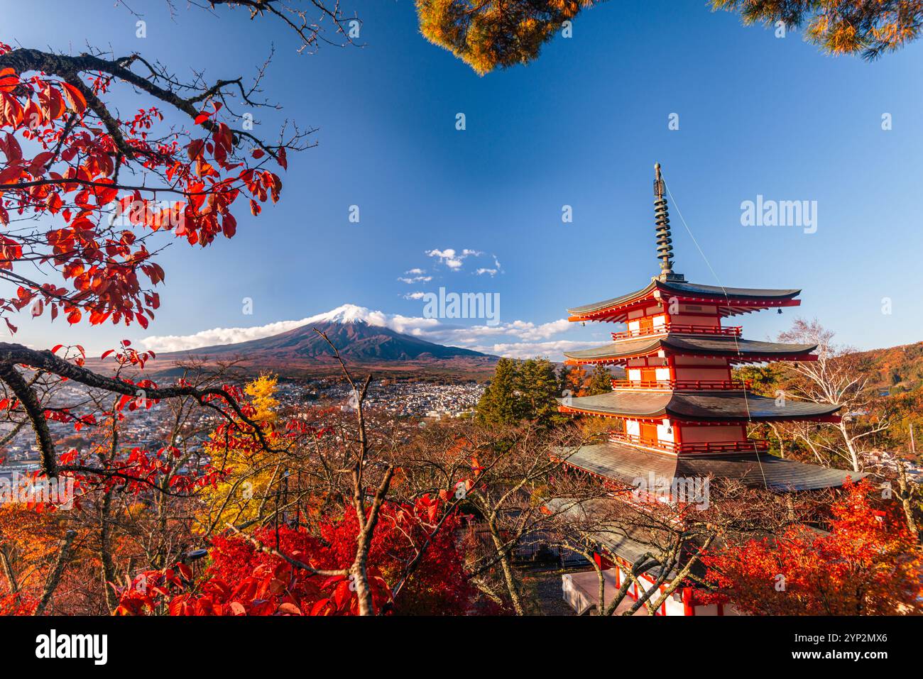 Alberi d'acero e Monte Fuji, patrimonio dell'umanità dell'UNESCO, in autunno con la pagoda rossa Chureito, Fujiyoshida, Honshu, Giappone, Asia Foto Stock