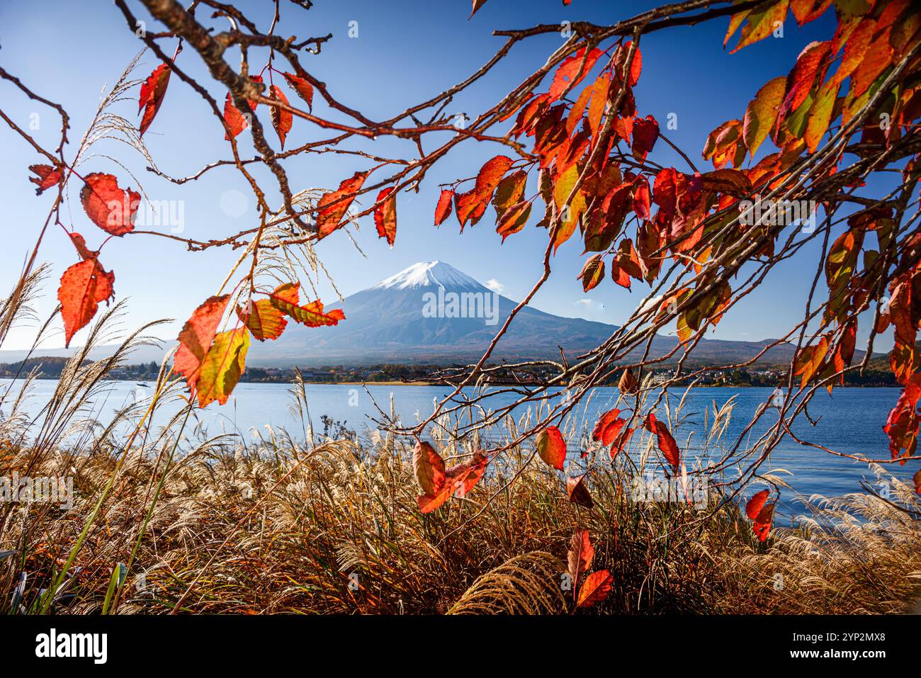 Monte Fuji San, sito patrimonio dell'umanità dell'UNESCO, iconico vulcano, con vibrante fogliame autunnale di fronte a un lago blu, Honshu, Giappone, Asia Foto Stock