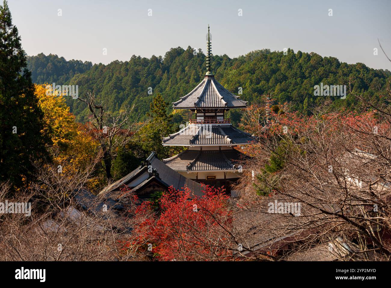 Tempio Kinpusenji e foglie autunnali rosse di alberi d'acero, monte tempio sacro Yoshino Yama vicino a Nara, Honshu, Giappone, Asia Foto Stock