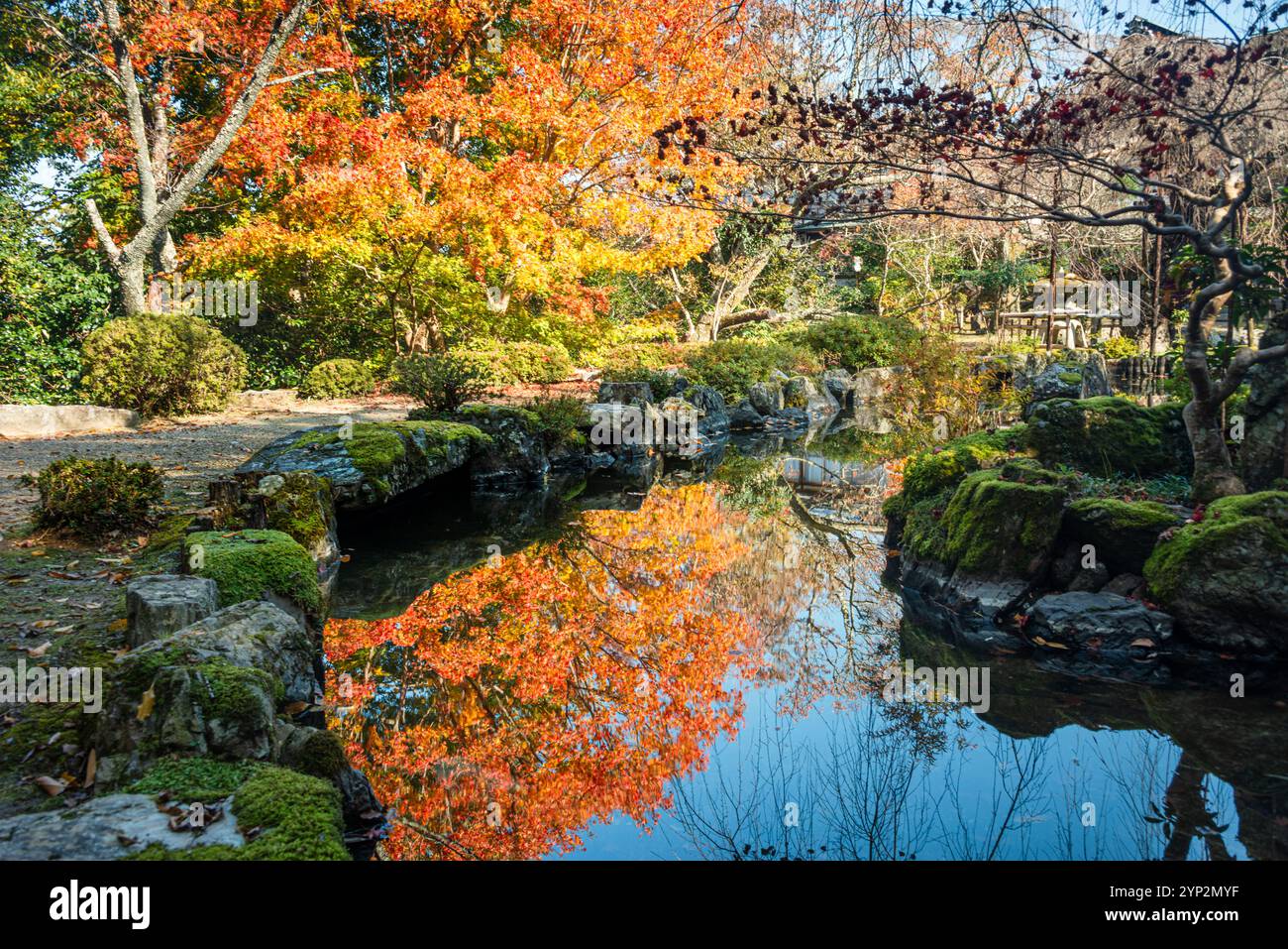 Laghetto con giardino giapponese con foglie autunnali vivaci, Yoshino, Nara, Honshu, Giappone, Asia Foto Stock