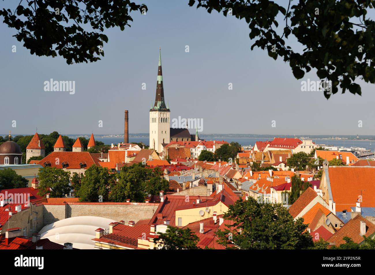 Torri e bastioni della città vecchia, patrimonio dell'umanità dell'UNESCO, viste dalla piattaforma panoramica di via Kohtu sulla collina Toompea, Tallinn, Estonia, Europa Foto Stock