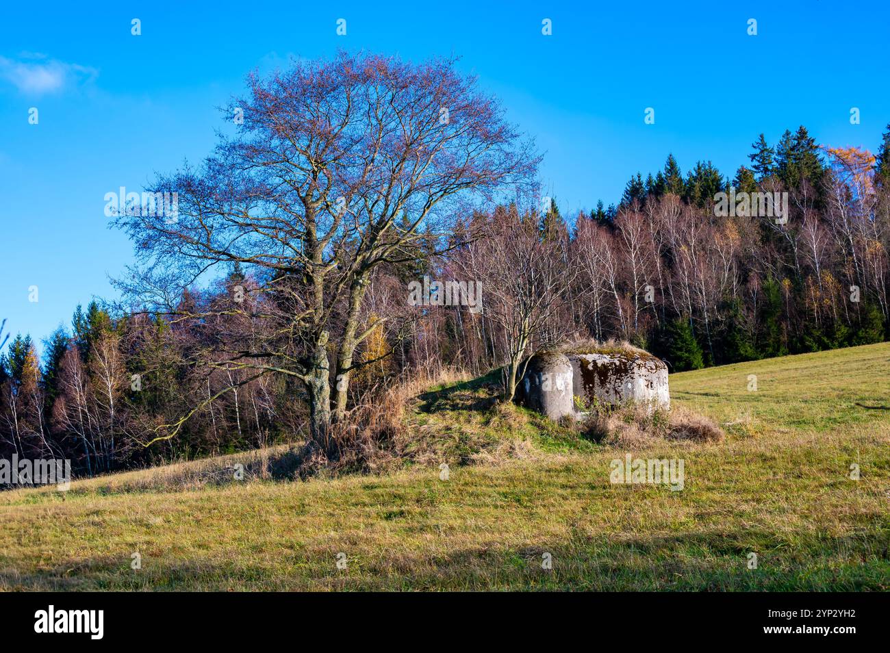 Una vista storica di un bunker anti-fanteria cecoslovacco, noto come un "ropik", in un campo circondato da alberi, che evoca il passato e il suo wartim Foto Stock