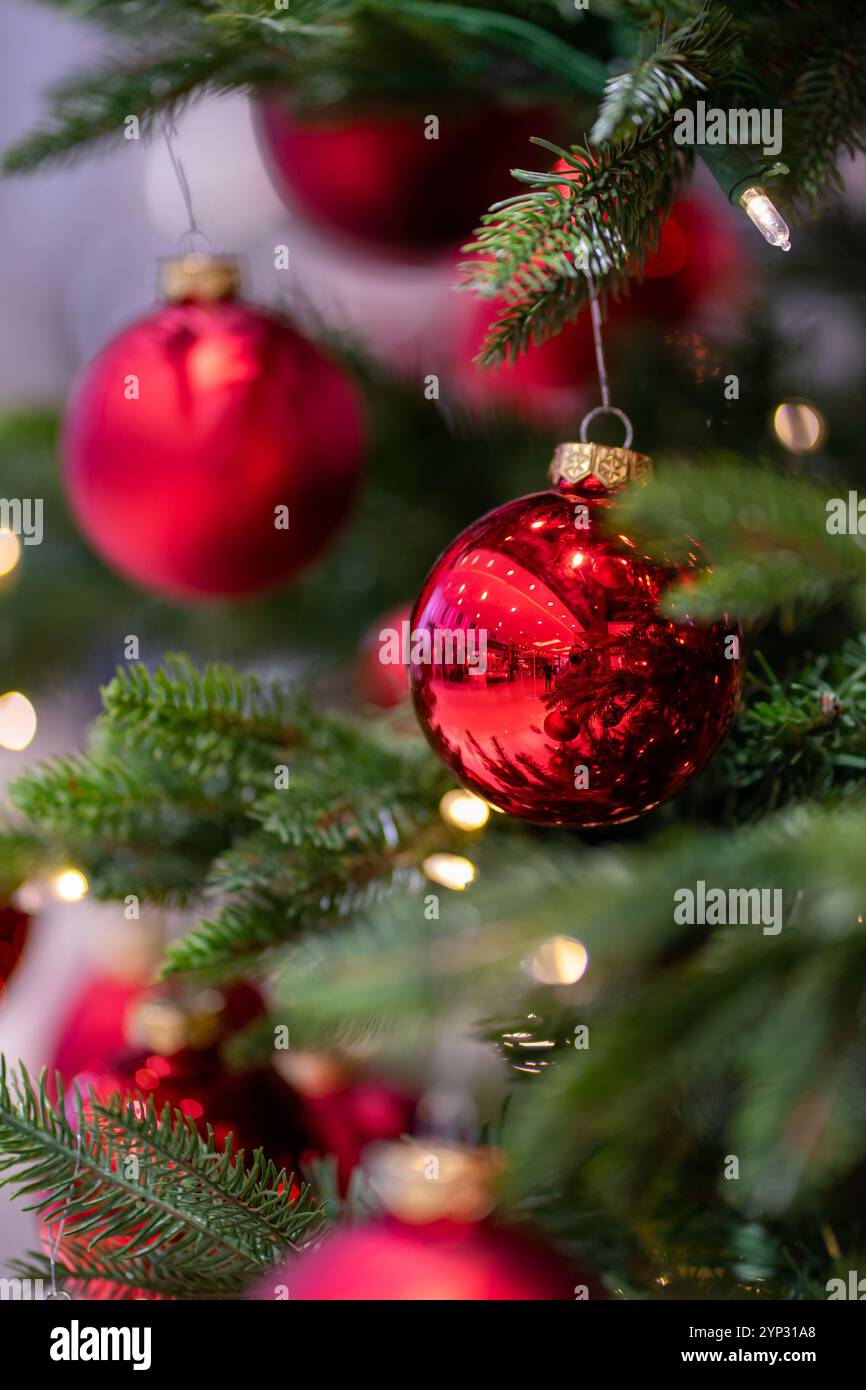 Rami verdi di abete artificiale decorati con palle rosse con luci garland. Foto Stock