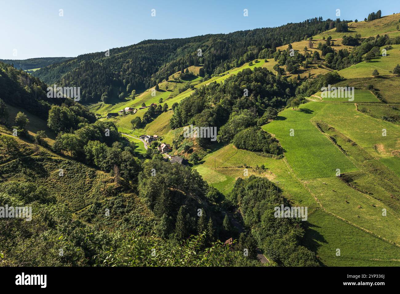 Vista della Valle Muenstertal nella regione della Foresta Nera di Baden-Wuerttemberg, Germania Foto Stock