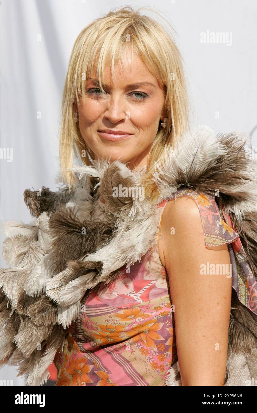 Sharon Stone Beim Photocall zum Kinofilm Basic Instinct 2 / Basic Instinct - Neues Spiel für Catherine Tramell auf dem Festival de Cannes 2005 / 58. Internationale Filmfestspiele von Cannes. Cannes, 15.05.2005 *** Sharon Stone al photocall per il film Basic Instinct 2 Basic Instinct nuovo gioco per Catherine Trammell al Festival di Cannes 2005 58 Cannes International Film Festival Cannes, 15 05 2005 foto:xD.xBedrosianx/xFuturexImagex Stone 5501 Foto Stock