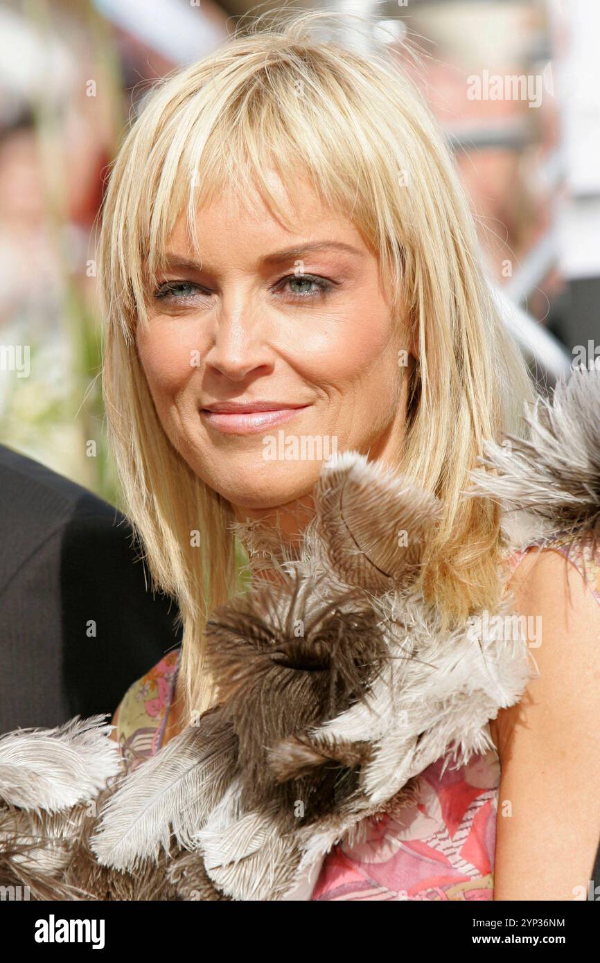 Sharon Stone Beim Photocall zum Kinofilm Basic Instinct 2 / Basic Instinct - Neues Spiel für Catherine Tramell auf dem Festival de Cannes 2005 / 58. Internationale Filmfestspiele von Cannes. Cannes, 15.05.2005 *** Sharon Stone al photocall per il film Basic Instinct 2 Basic Instinct nuovo gioco per Catherine Trammell al Festival di Cannes 2005 58 Cannes International Film Festival Cannes, 15 05 2005 foto:xD.xBedrosianx/xFuturexImagex Stone 5505 Foto Stock