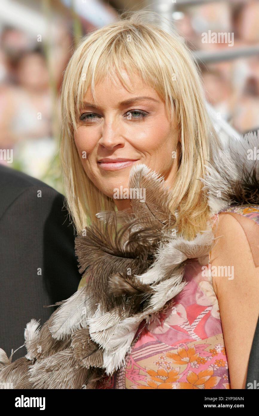 Sharon Stone Beim Photocall zum Kinofilm Basic Instinct 2 / Basic Instinct - Neues Spiel für Catherine Tramell auf dem Festival de Cannes 2005 / 58. Internationale Filmfestspiele von Cannes. Cannes, 15.05.2005 *** Sharon Stone al photocall per il film Basic Instinct 2 Basic Instinct nuovo gioco per Catherine Trammell al Festival di Cannes 2005 58 Cannes International Film Festival Cannes, 15 05 2005 foto:xD.xBedrosianx/xFuturexImagex Stone 5503 Foto Stock