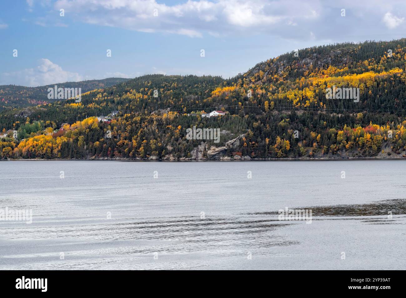 Vivaci colori autunnali lungo la costa di Saguenay, Quebec, Canada Foto Stock