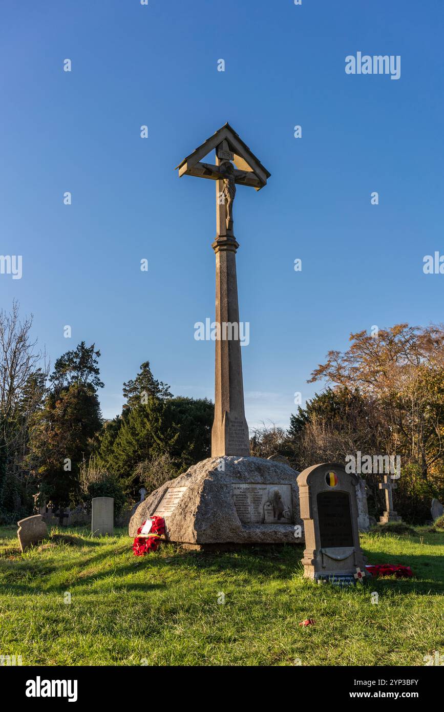 Monumento ai soldati belgi della prima guerra mondiale presso l'Old Cemetery in the Common a Southampton, Hampshire, Inghilterra, Regno Unito Foto Stock