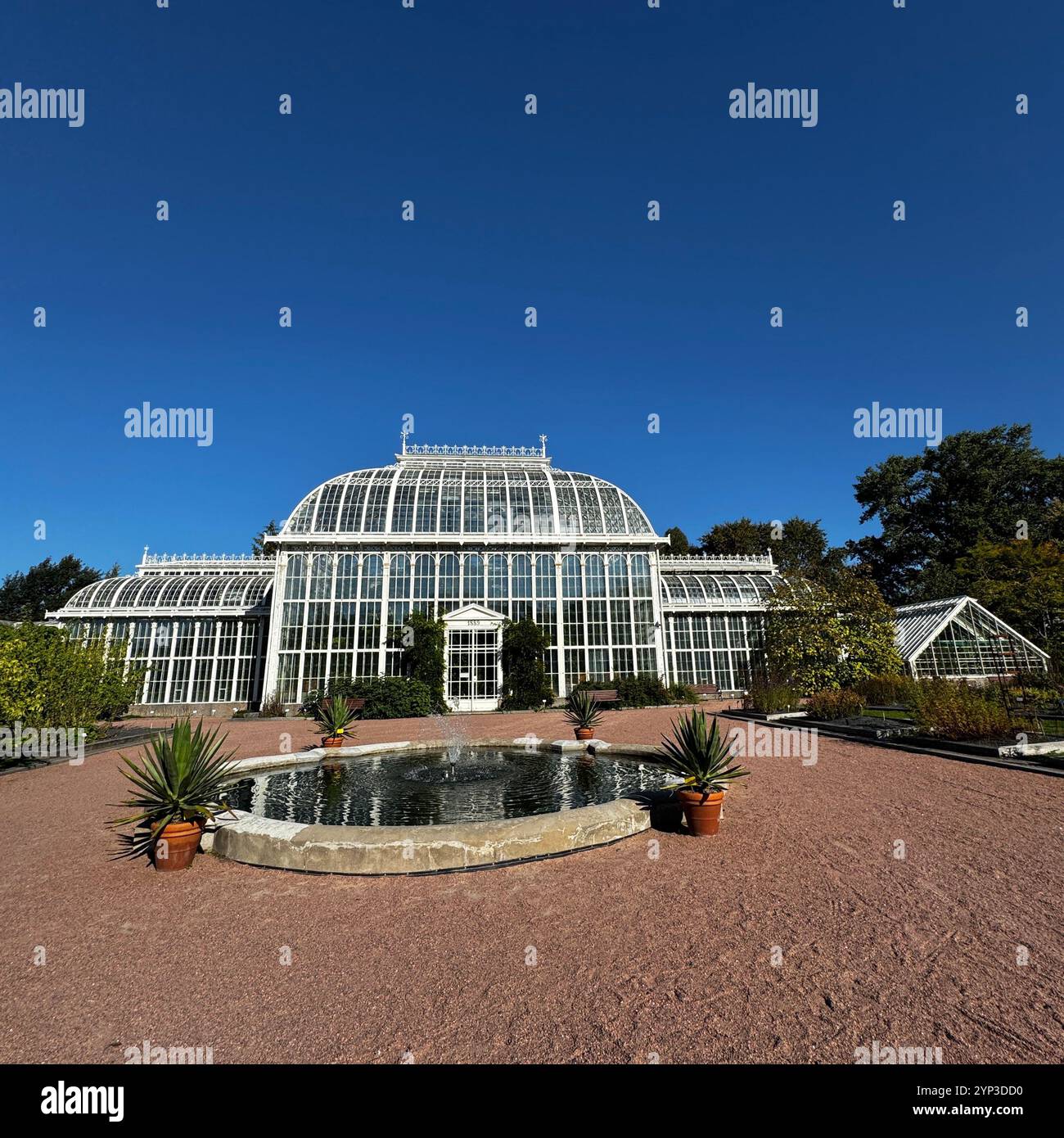 Le serre del Giardino Botanico di Helsinki si affacciano su un cielo molto blu Foto Stock