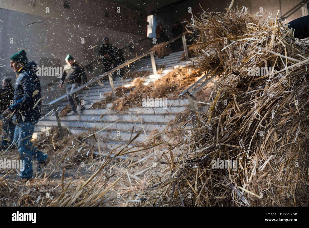 Tolosa, Francia. 28 novembre 2024. Pacciamatura dell'amministratore della Cité. Protesta indetta dai sindacati della federazione dipartimentale dei titolari di agricoltura (FDSEA) al di fuori degli uffici amministrativi della città in opposizione al proposto accordo di libero scambio tra l'UE e il Mercosur (blocco commerciale frenetico del Sud America) a Tolosa, in Francia, il 28 novembre 2024. Foto di Patricia Huchot-Boissier/ABACAPRESS. COM credito: Abaca Press/Alamy Live News Foto Stock