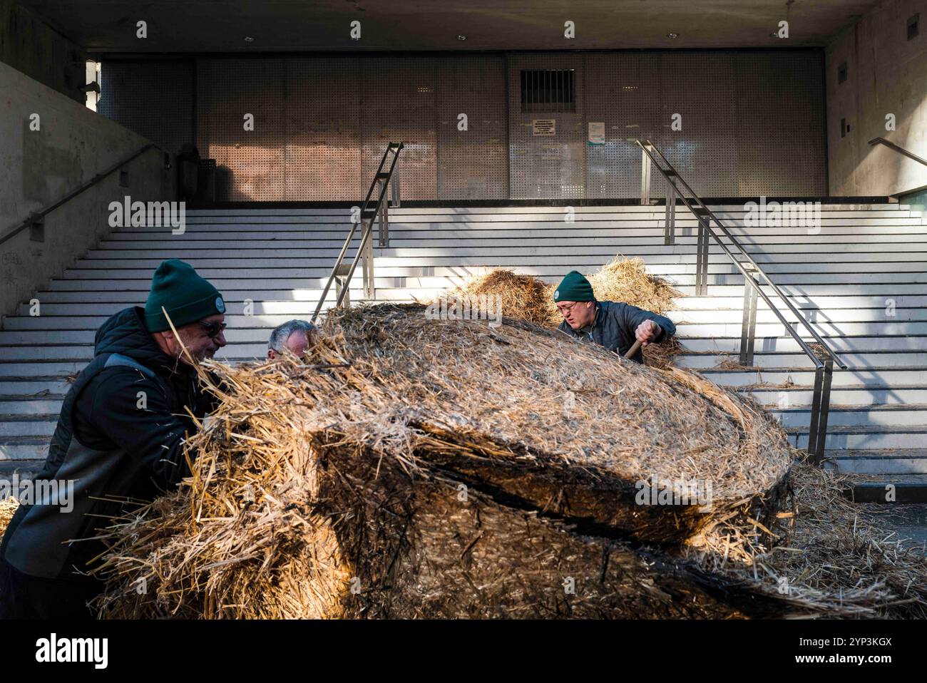 Tolosa, Francia. 28 novembre 2024. Pacciamatura dell'amministratore della Cité. Protesta indetta dai sindacati della federazione dipartimentale dei titolari di agricoltura (FDSEA) al di fuori degli uffici amministrativi della città in opposizione al proposto accordo di libero scambio tra l'UE e il Mercosur (blocco commerciale frenetico del Sud America) a Tolosa, in Francia, il 28 novembre 2024. Foto di Patricia Huchot-Boissier/ABACAPRESS. COM credito: Abaca Press/Alamy Live News Foto Stock