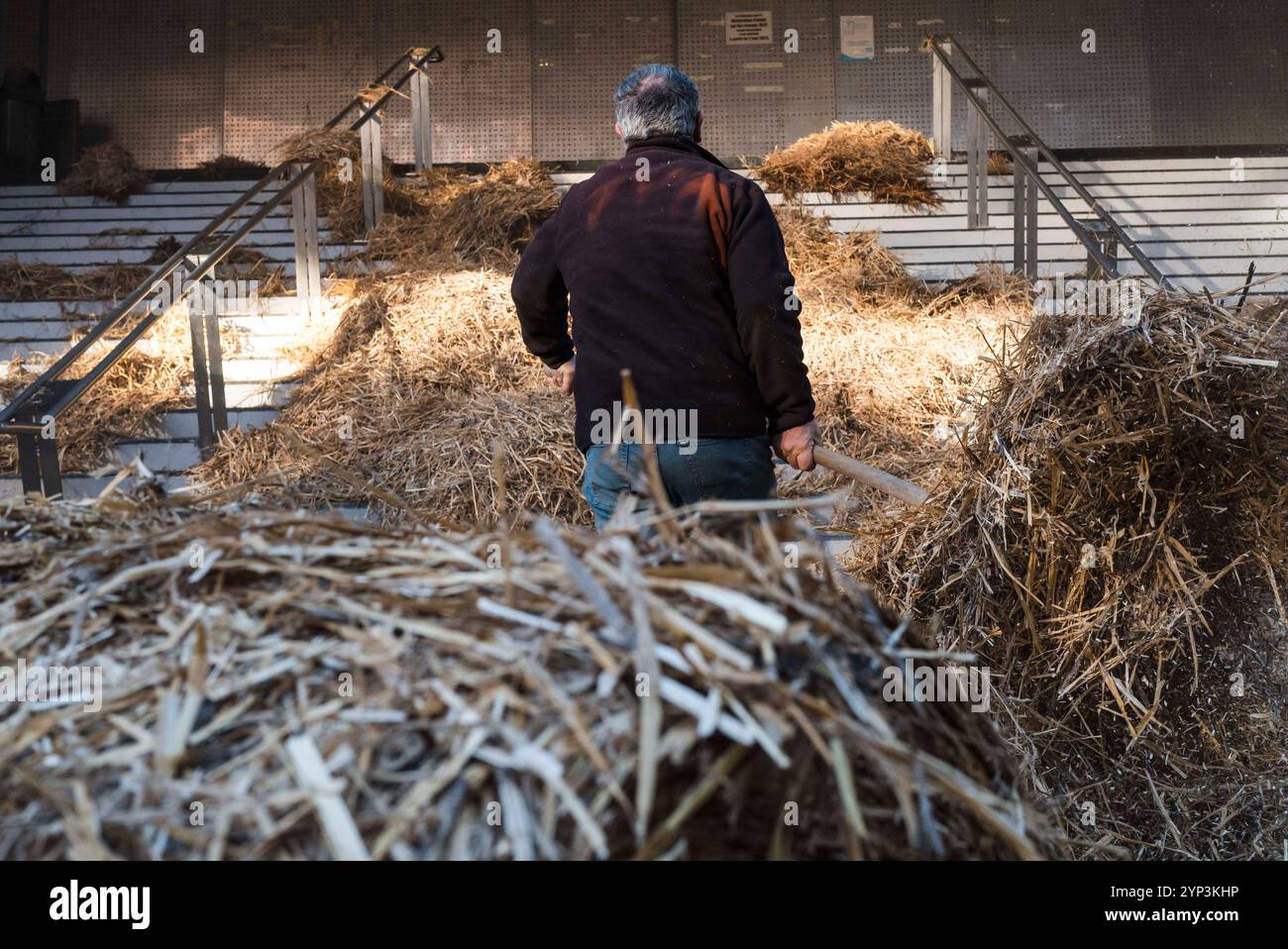Tolosa, Francia. 28 novembre 2024. Pacciamatura dell'amministratore della Cité. Protesta indetta dai sindacati della federazione dipartimentale dei titolari di agricoltura (FDSEA) al di fuori degli uffici amministrativi della città in opposizione al proposto accordo di libero scambio tra l'UE e il Mercosur (blocco commerciale frenetico del Sud America) a Tolosa, in Francia, il 28 novembre 2024. Foto di Patricia Huchot-Boissier/ABACAPRESS. COM credito: Abaca Press/Alamy Live News Foto Stock