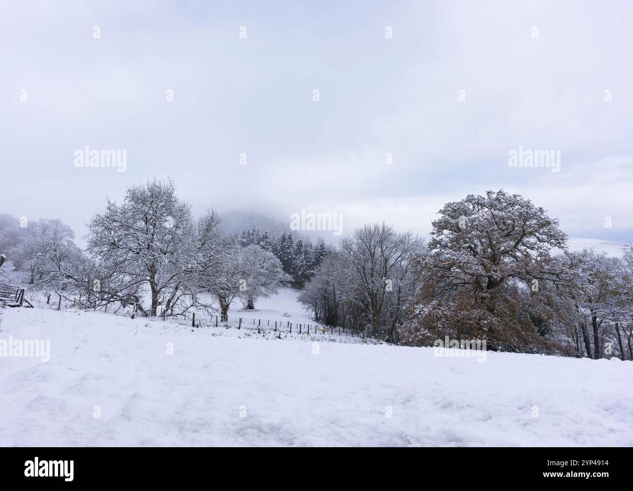 Campo innevato a Berwyn, Galles, in un freddo giorno nevoso di novembre. Foto Stock