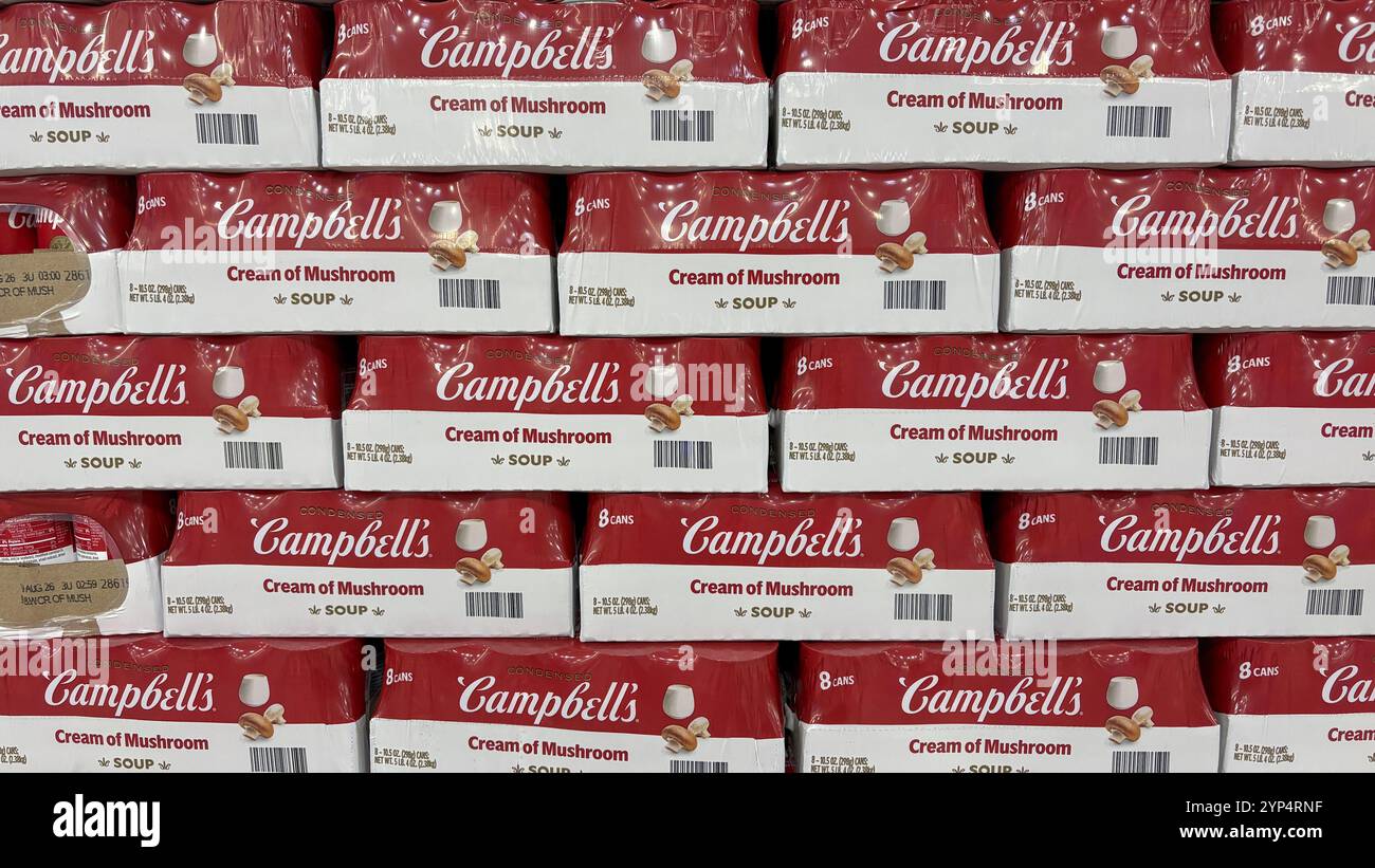 Indianapolis - 26 novembre 2024: Campbell's Cream of Mushroom Soup display. Con un sandwich al formaggio alla griglia, il Campbell's Soup è il massimo del comfort Foto Stock