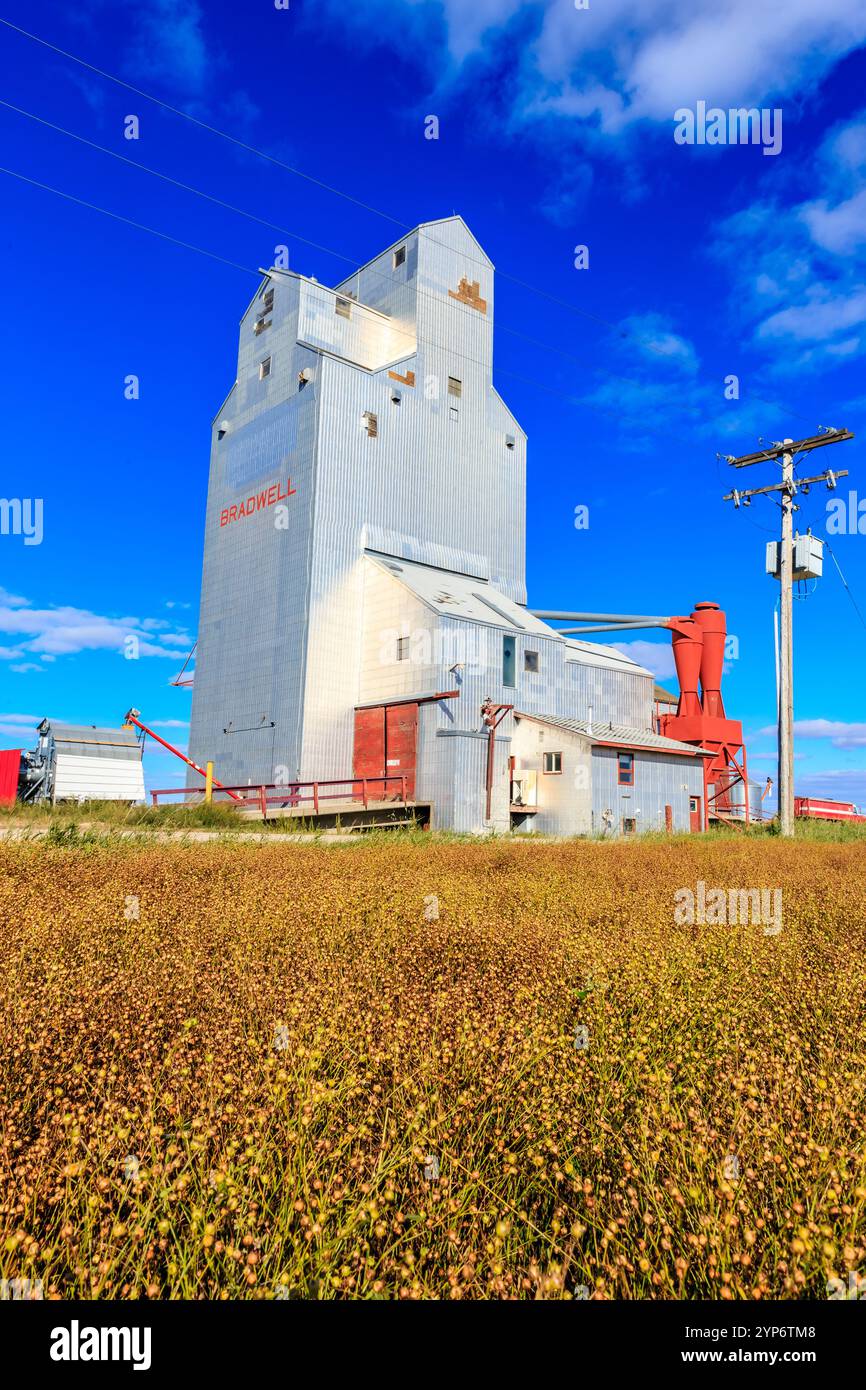 Un silo di grano con un tetto rosso e la parola 'Rangeland' su di esso. Il silo è circondato da un campo di erba gialla Foto Stock