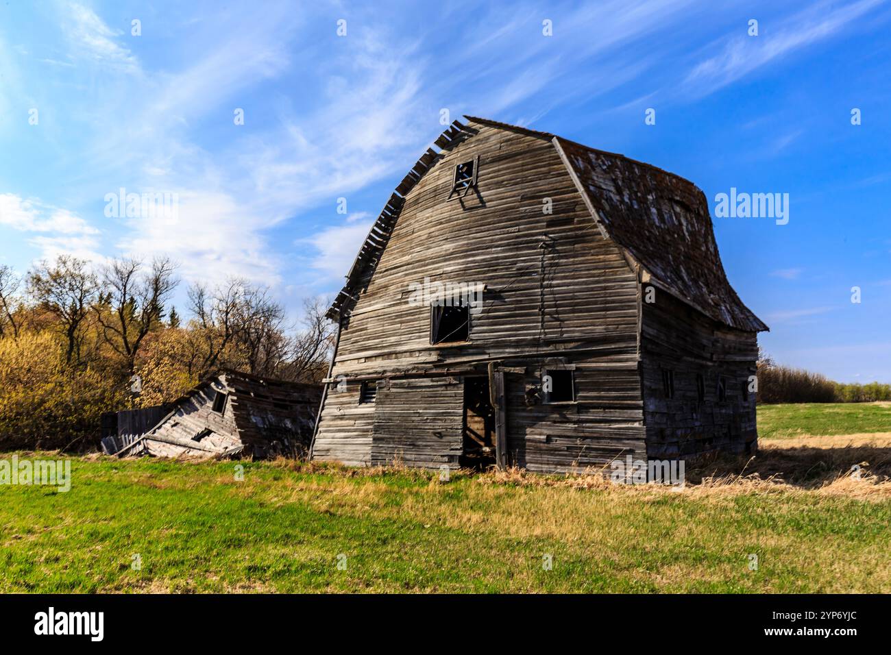 Un granaio vecchio e grande con molto legno sopra. Il fienile è in un campo con molta erba Foto Stock