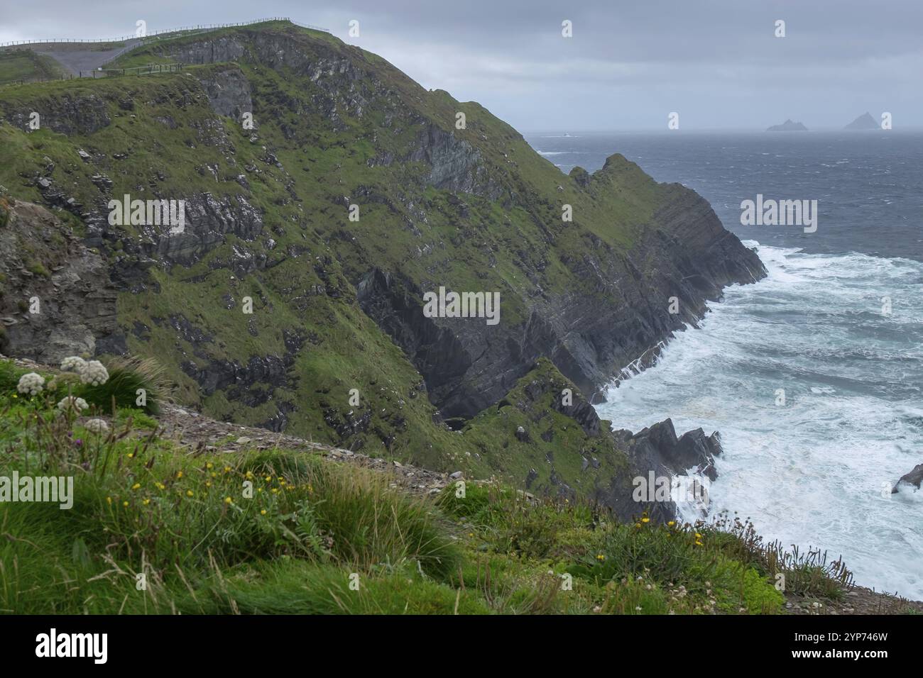 Kerry Cliffs, ripida costa, Skellig Michael all'orizzonte, Country Kerry, Irlanda, Europa Foto Stock