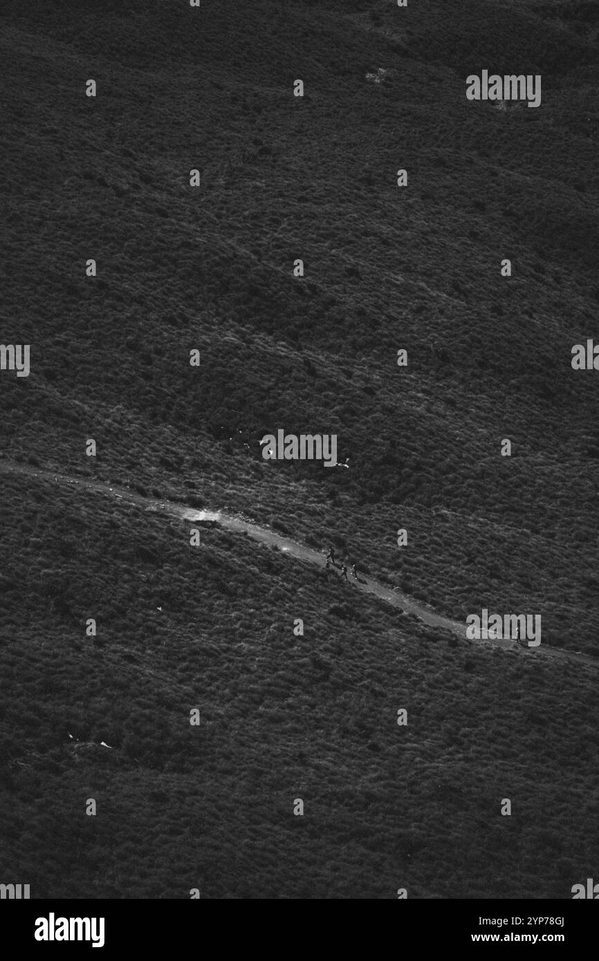 Rappresentazione minimalista in bianco e nero di un sentiero su un pendio erboso, Roys Peak, Wanaka, nuova Zelanda, Oceania Foto Stock