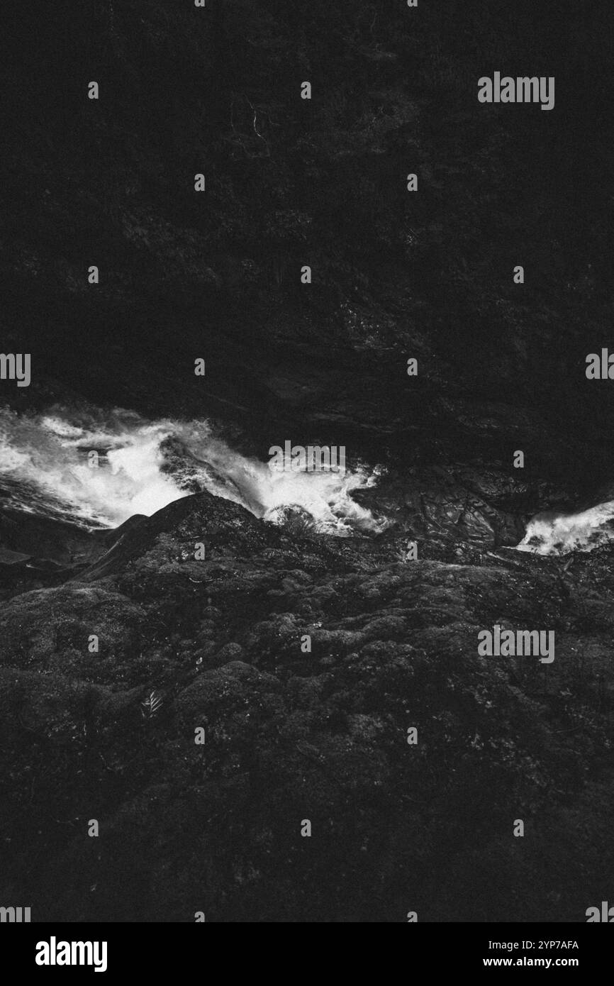 Le spettacolari rapide in una gola rocciosa offrono un'immagine cruda e dinamica della natura in bianco e nero, Milford Sound, nuova Zelanda, Oceania Foto Stock