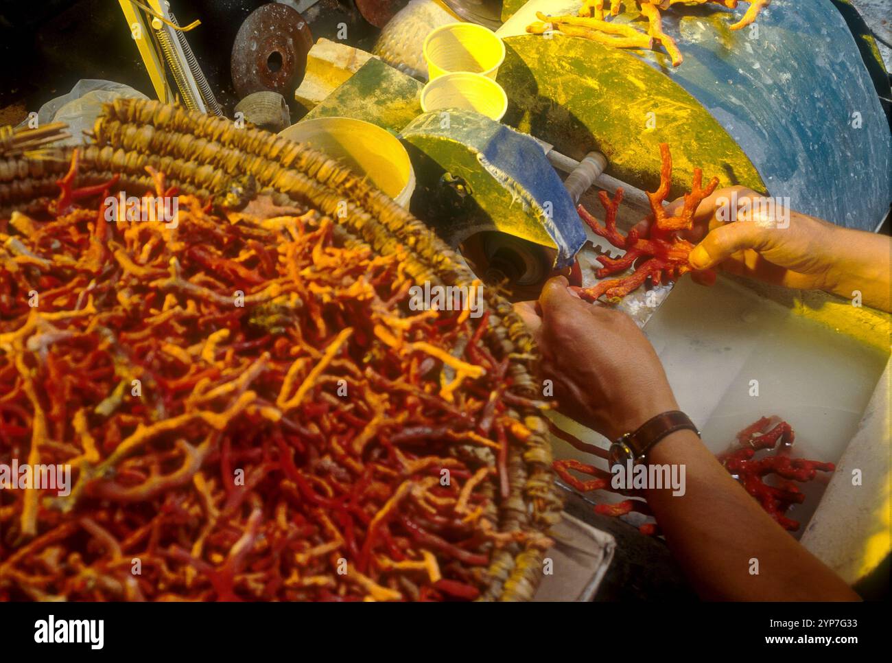 La lavorazione del corallo per la realizzazione di prodotti orafi, un'antica tradizione di Torre del Greco. Napoli Foto Stock