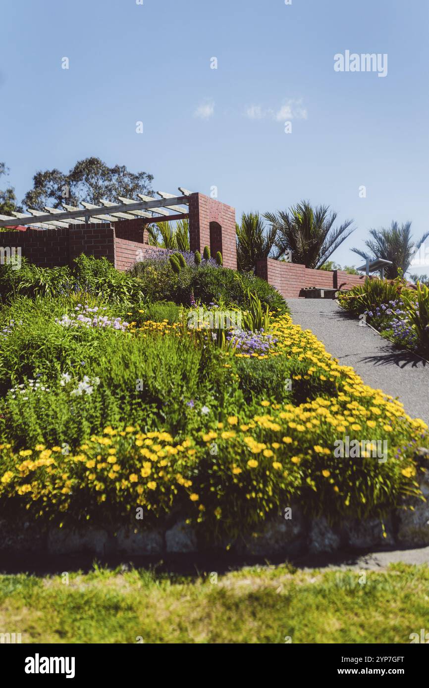 Un colorato giardino di fiori accanto ad un sentiero e ad un muro di mattoni, Napier, nuova Zelanda, Oceania Foto Stock