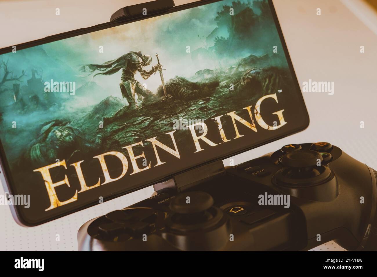 Il miliardario Elon Musk ha recentemente affermato di aver calmato la mente giocando a questo videogioco Foto Stock