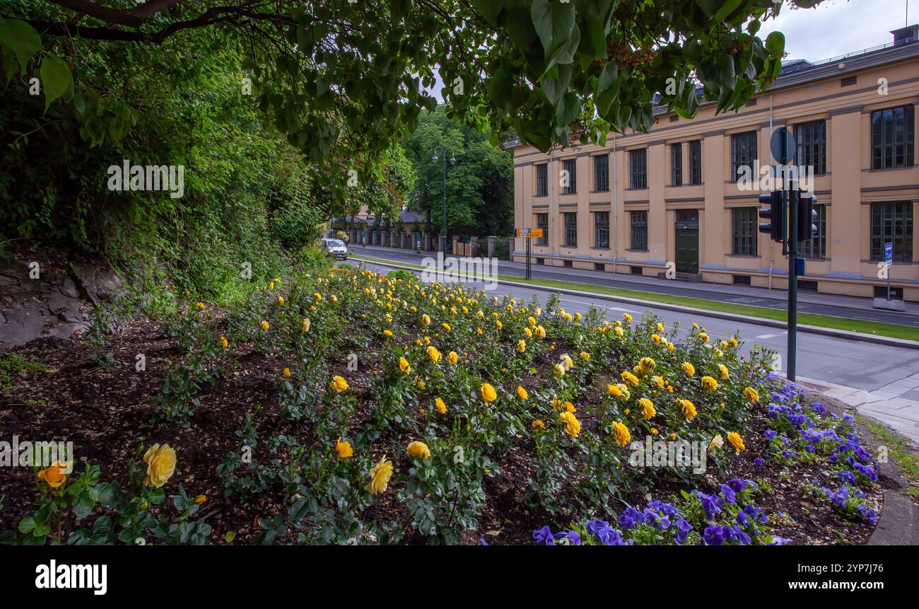 Oslo, Norvegia. Il bellissimo municipio di Oslo è un edificio municipale di Oslo, la capitale della Norvegia Foto Stock