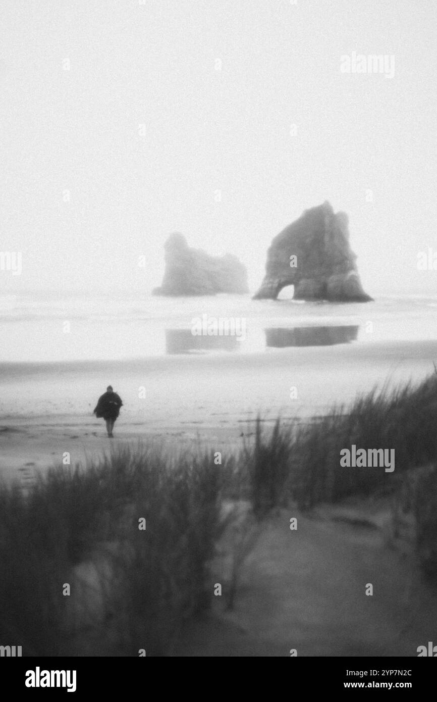 Persona sulla spiaggia, grandi rocce sullo sfondo, atmosfera nebbiosa, Whakariki Beach, nuova Zelanda, Oceania Foto Stock