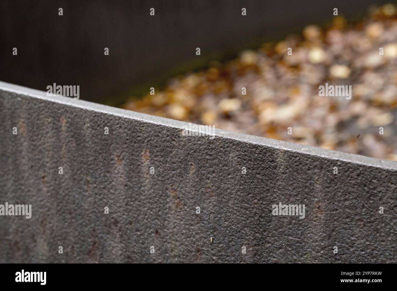 Il bordo in acciaio corten intemperie incornicia uno sfondo sfocato di foglie autunnali cadute, evidenziando texture e contrasto Foto Stock