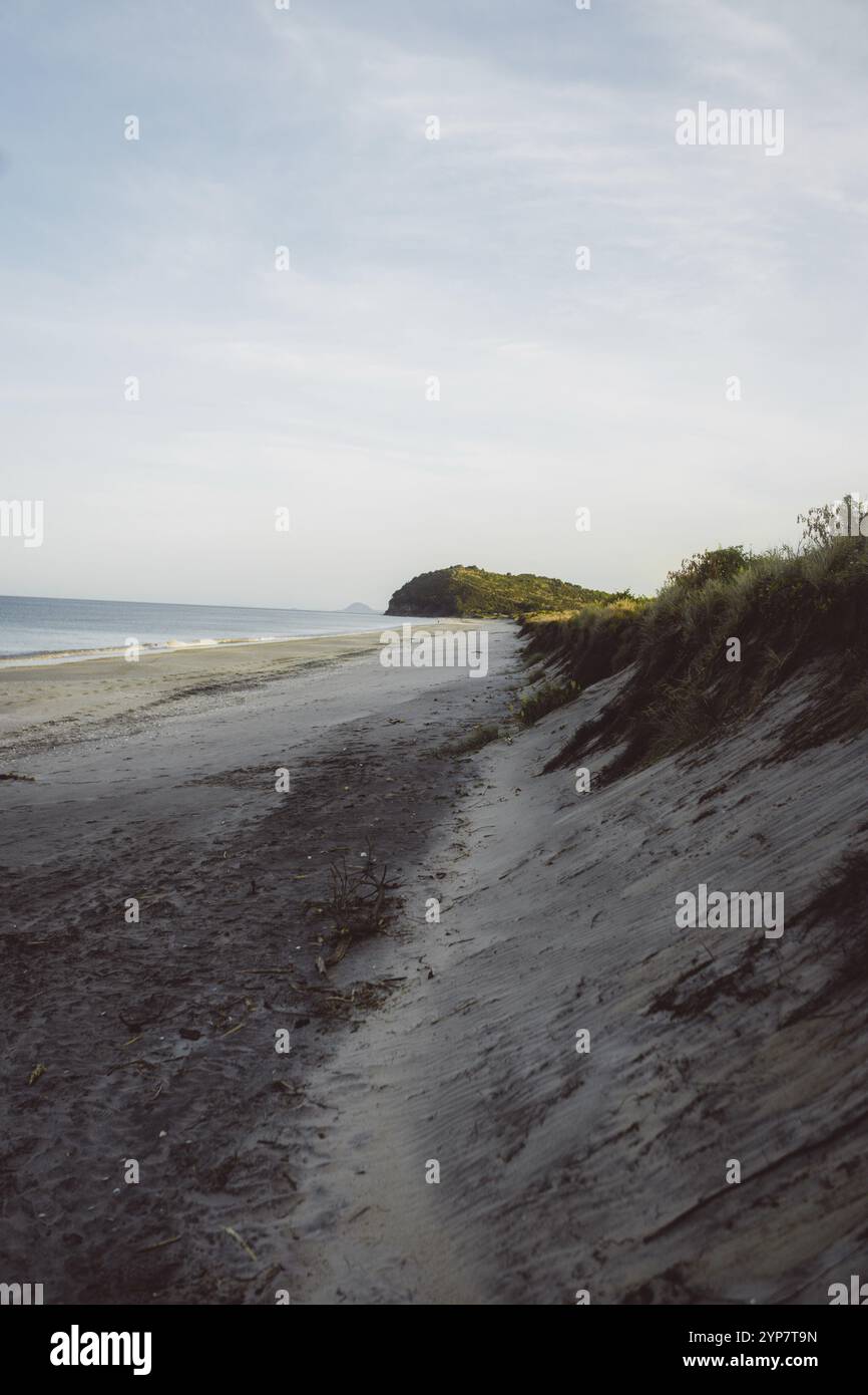 Una lunga e tranquilla spiaggia si estende lungo la costa con un mare dolce, Coromandel, nuova Zelanda, Oceania Foto Stock