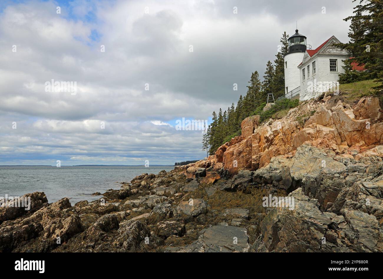 Scogliera colorata e faro Bass Harbor, Acadia National Park, Maine Foto Stock
