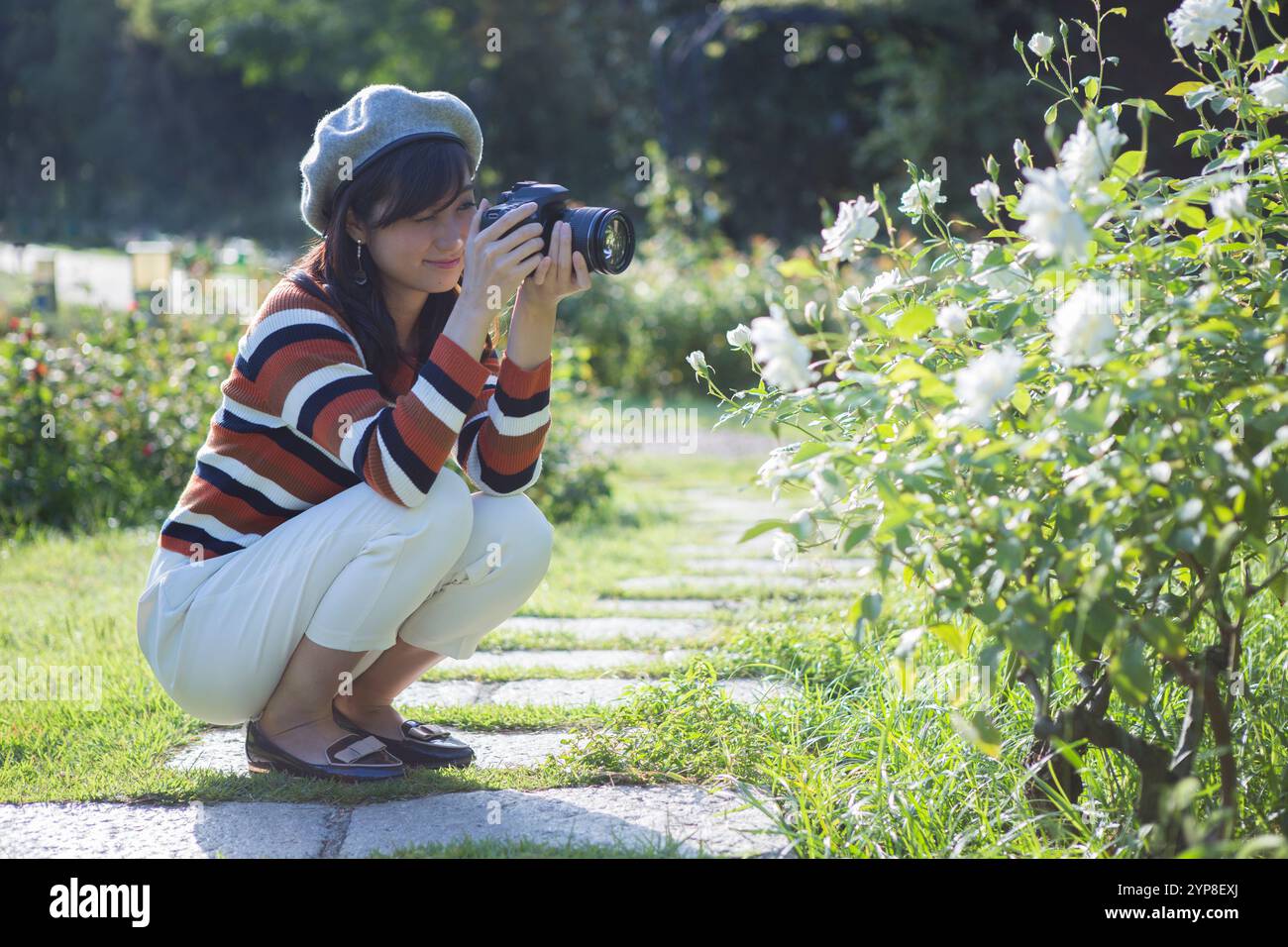 Donna che scatta foto di fiori nel parco Foto Stock
