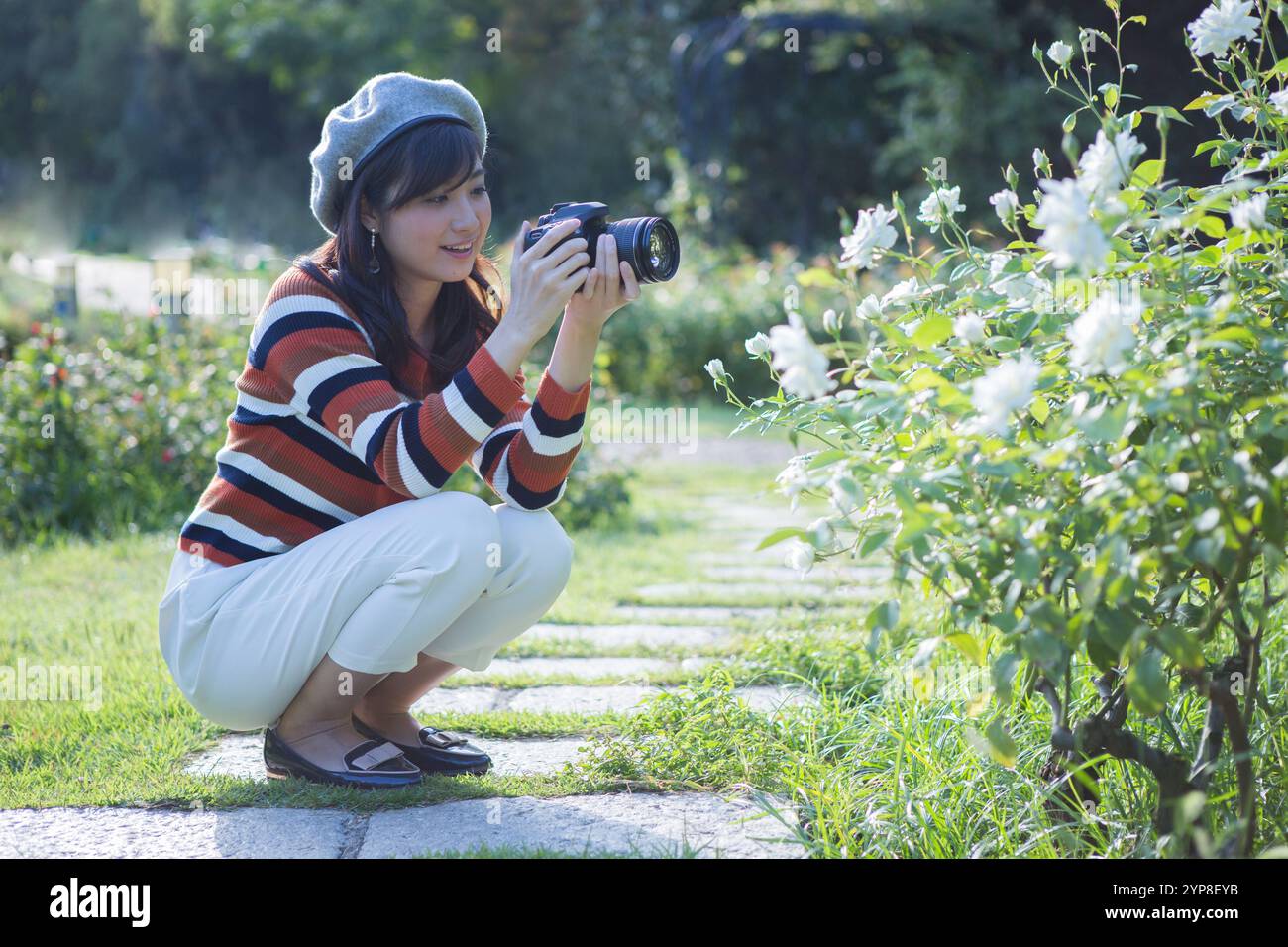 Donna che scatta foto di fiori nel parco Foto Stock