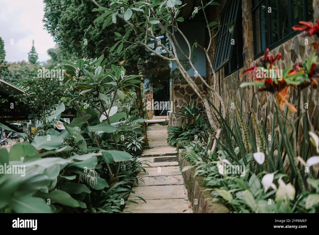 Un tranquillo percorso giardino circondato da lussureggianti piante verdi, fiori vibranti e un muro di edificio rivestito in pietra, che conduce a un tranquillo spazio all'aperto perfetto Foto Stock