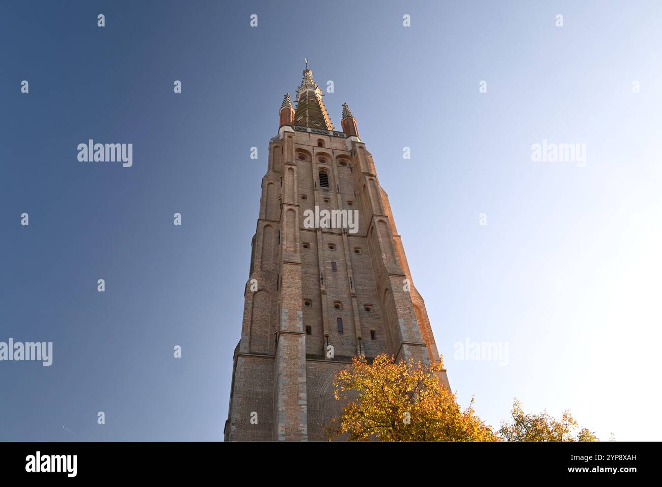 Torre in mattoni della Chiesa di nostra Signora (Onze-lieve-Vrouwekerk) – Bruges, Belgio – 24 ottobre 2024 Foto Stock