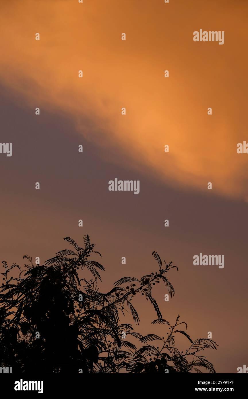 Un bellissimo tramonto spettacolare dipinge il cielo. Foto Stock