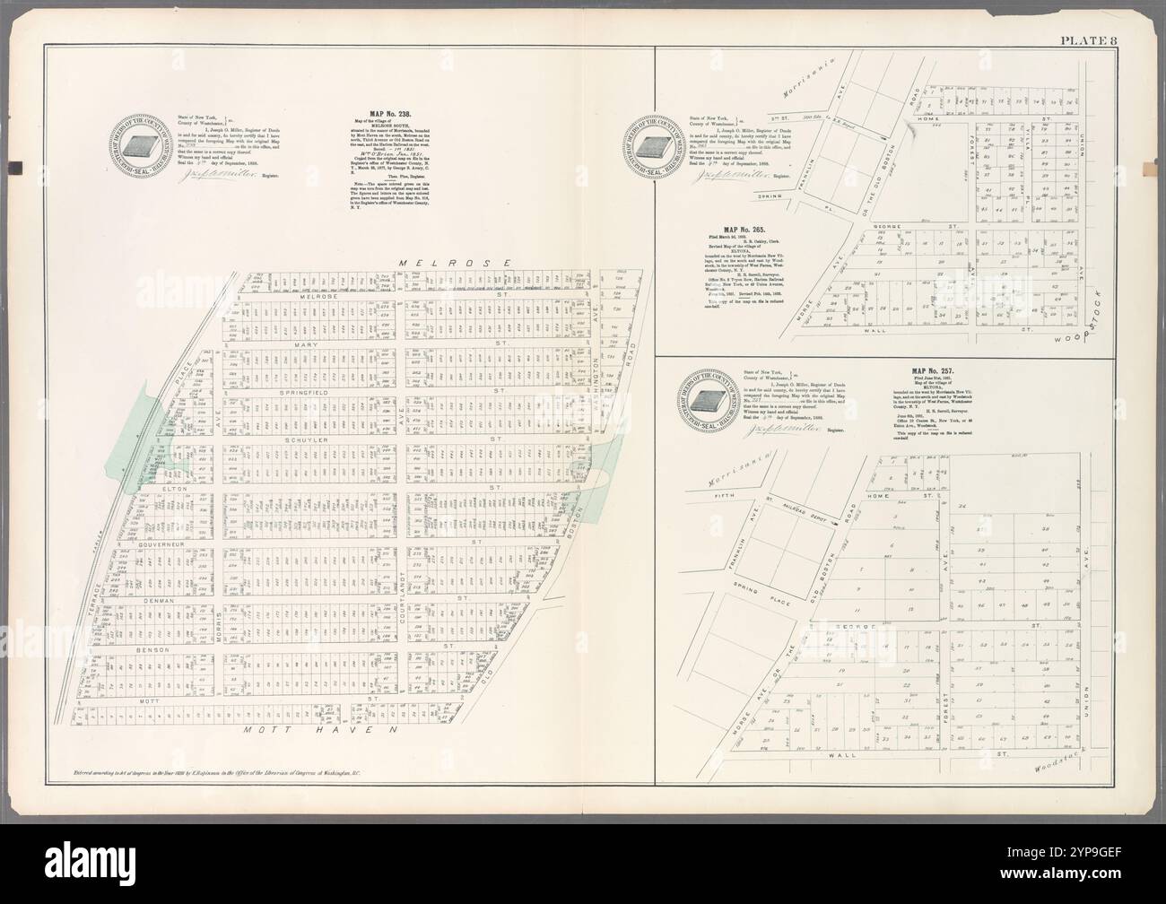 Placca 8: Mappa n. 238, delimitata da Mott Haven a sud, Melrose a nord, Third Avenue o Old Boston Road a est, e Harlem Railroad a ovest. - Mappa n. 265: Delimitata ad ovest da Morrisania New Village, e a sud e ad est da Woodstock, nella township di West Farms, contea di Westchester, N.Y. - Mappa n. 257: Delimitata ad ovest da Morrisania New Village, e a sud e ad est da Woodstock nella township di West Farms, contea di Westchester, N.Y. 1888 - 1897 Foto Stock